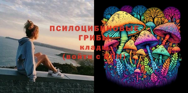 PSILOCYBIN Армянск