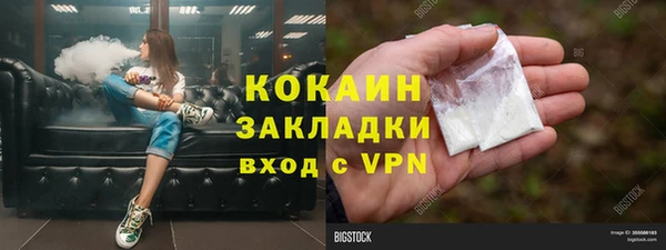 хмурый Арсеньев