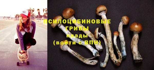 хмурый Арсеньев