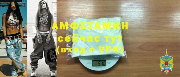 хмурый Арсеньев
