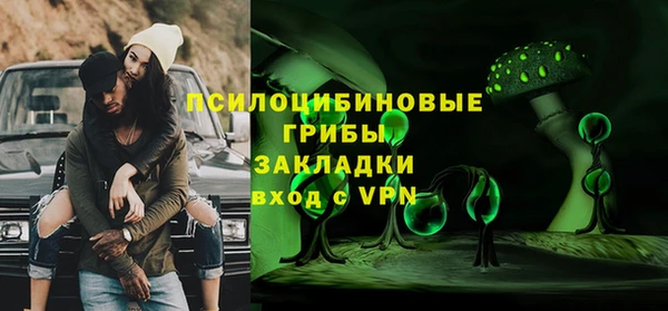 PSILOCYBIN Армянск