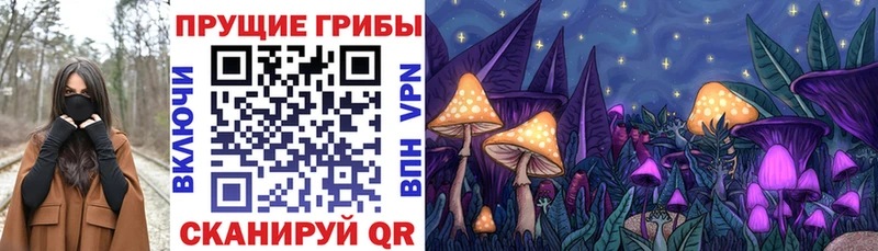 Псилоцибиновые грибы мухоморы магазин продажи Мценск